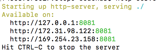 http-server stdout